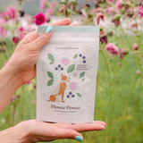 Flower Power Cookies - All Natural, Organic Dog Treats