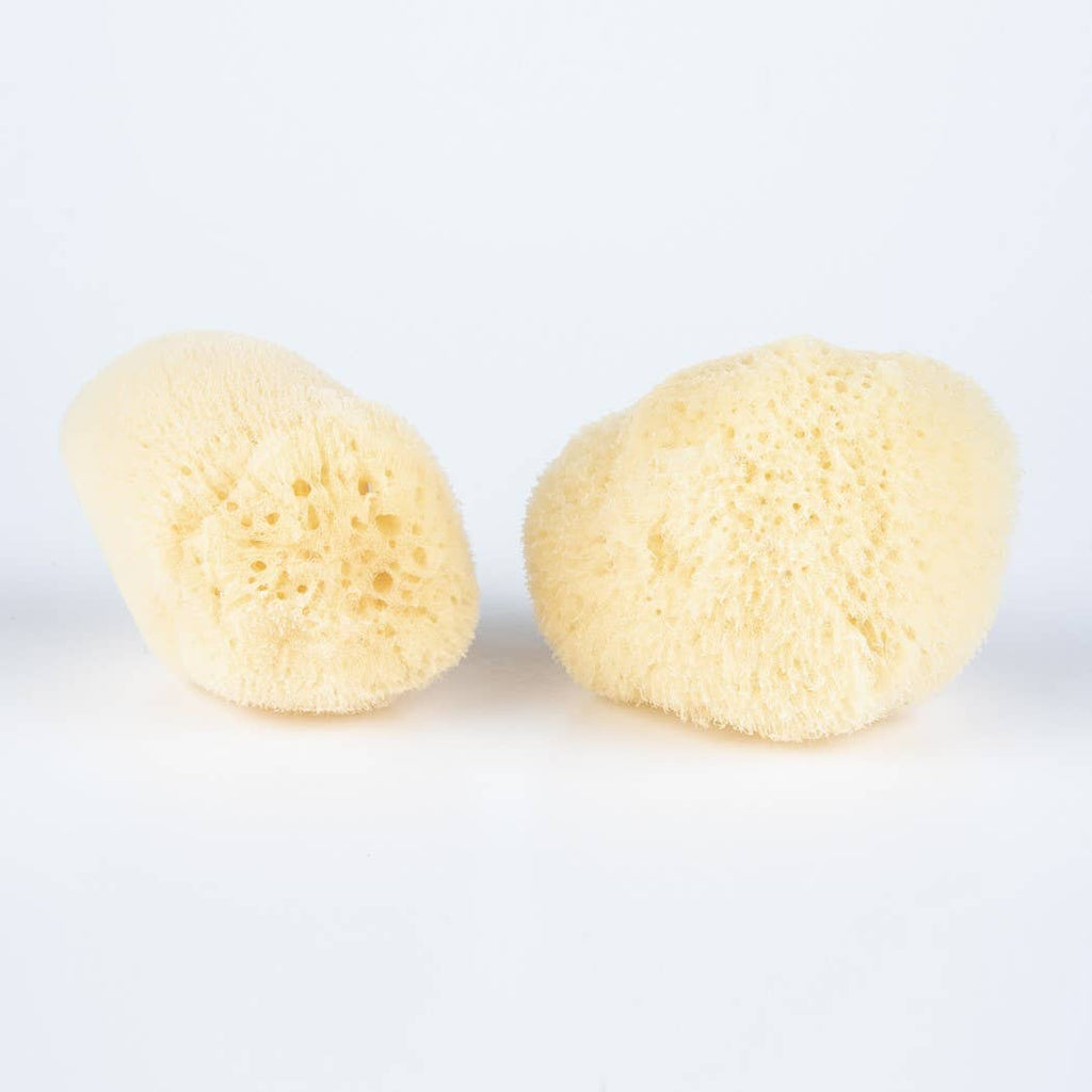 Facial Silk Sponge Bulk 2.5-3"