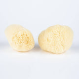 Facial Silk Sponge Bulk 2.5-3"