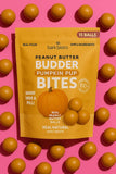 Pumpkin Pup Budder Bites (Peanut Butter)