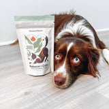 Balance + Calm Cookies - All Natural, Organic Dog Treats