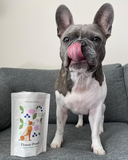 Flower Power Cookies - All Natural, Organic Dog Treats