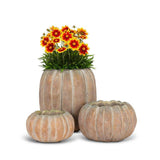 Cement Pumpkin Planter