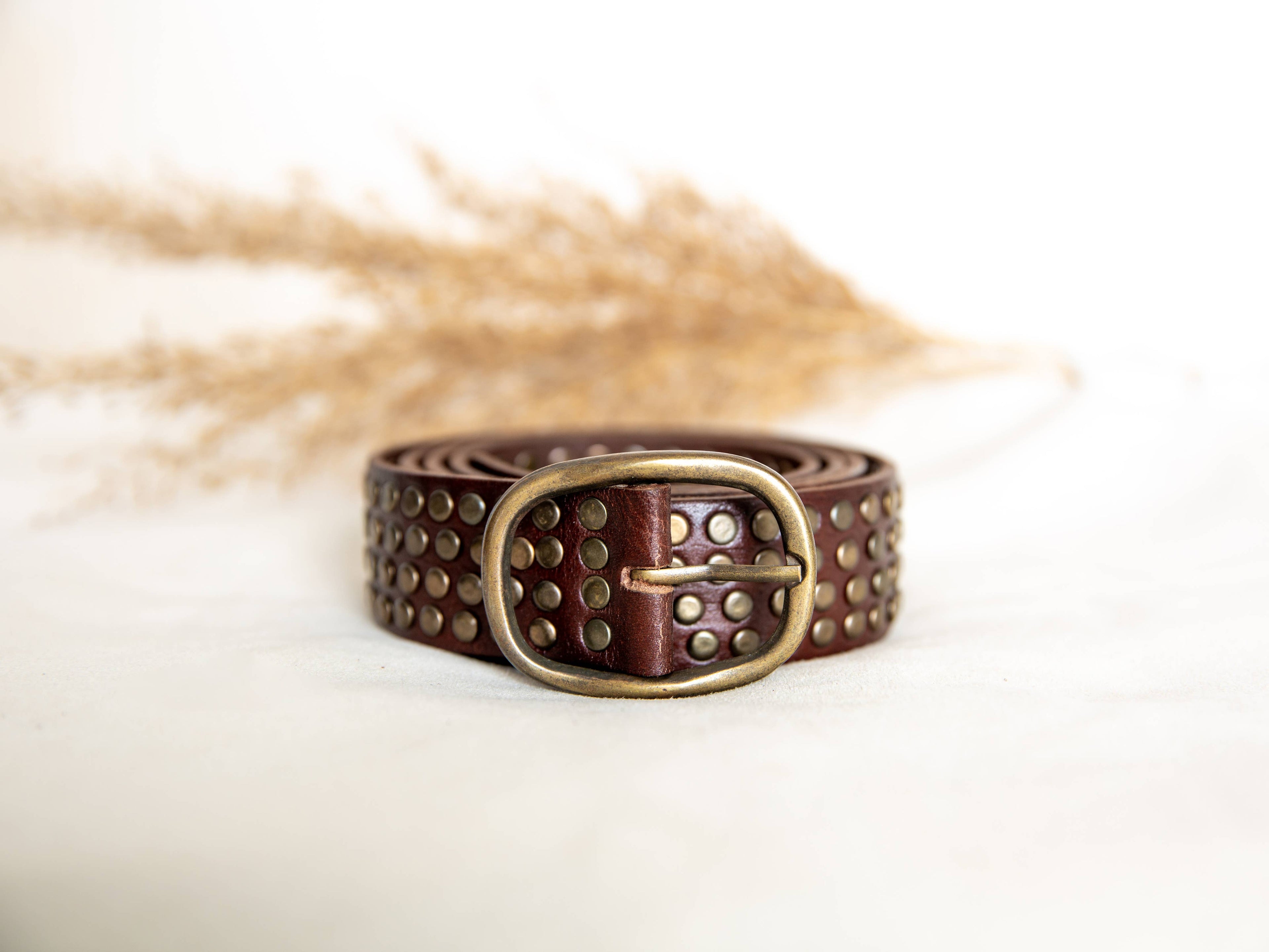 DARK BROWN LEATHER BELT WITH STUDS WIDE