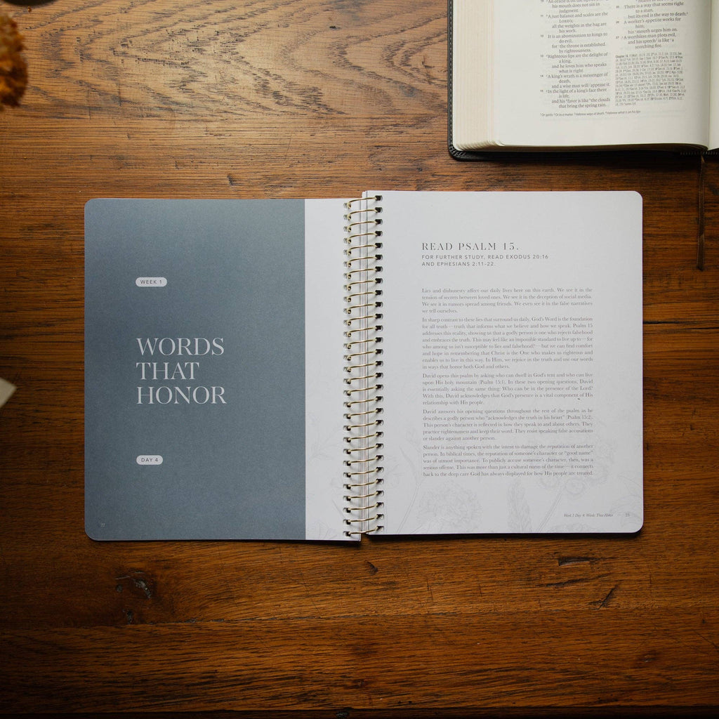 Sticks and Stones Spiral Bible Study
