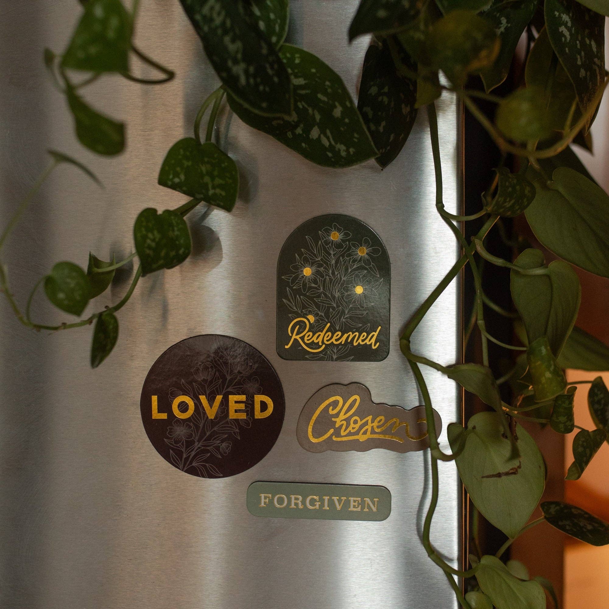 Identity Magnet Set