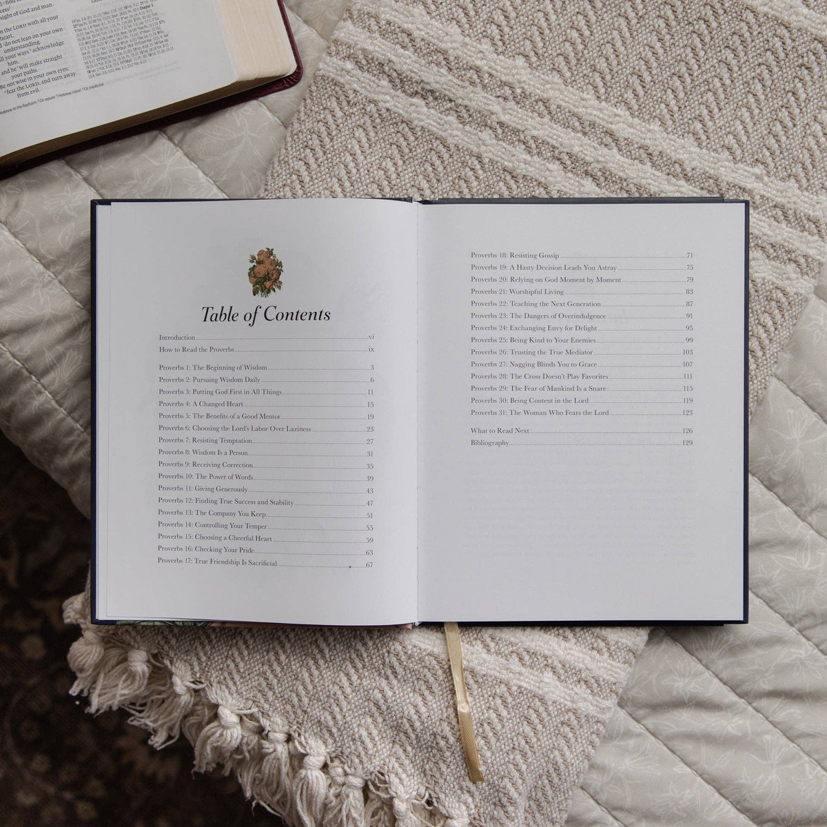 The Way of Wisdom | A 31-Day Devotional Through the Book of Proverbs
