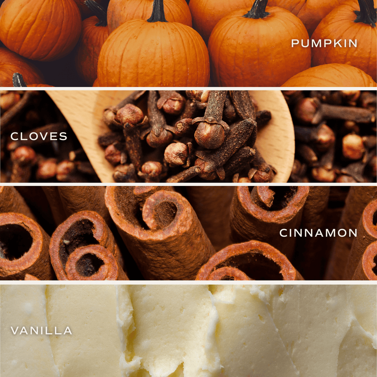 Pumpkin Spice 12oz Soy Candle