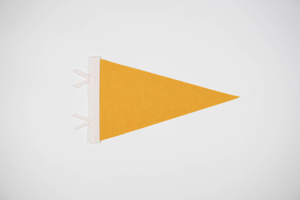 Custom city / state / location pennant