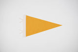 Custom city / state / location pennant