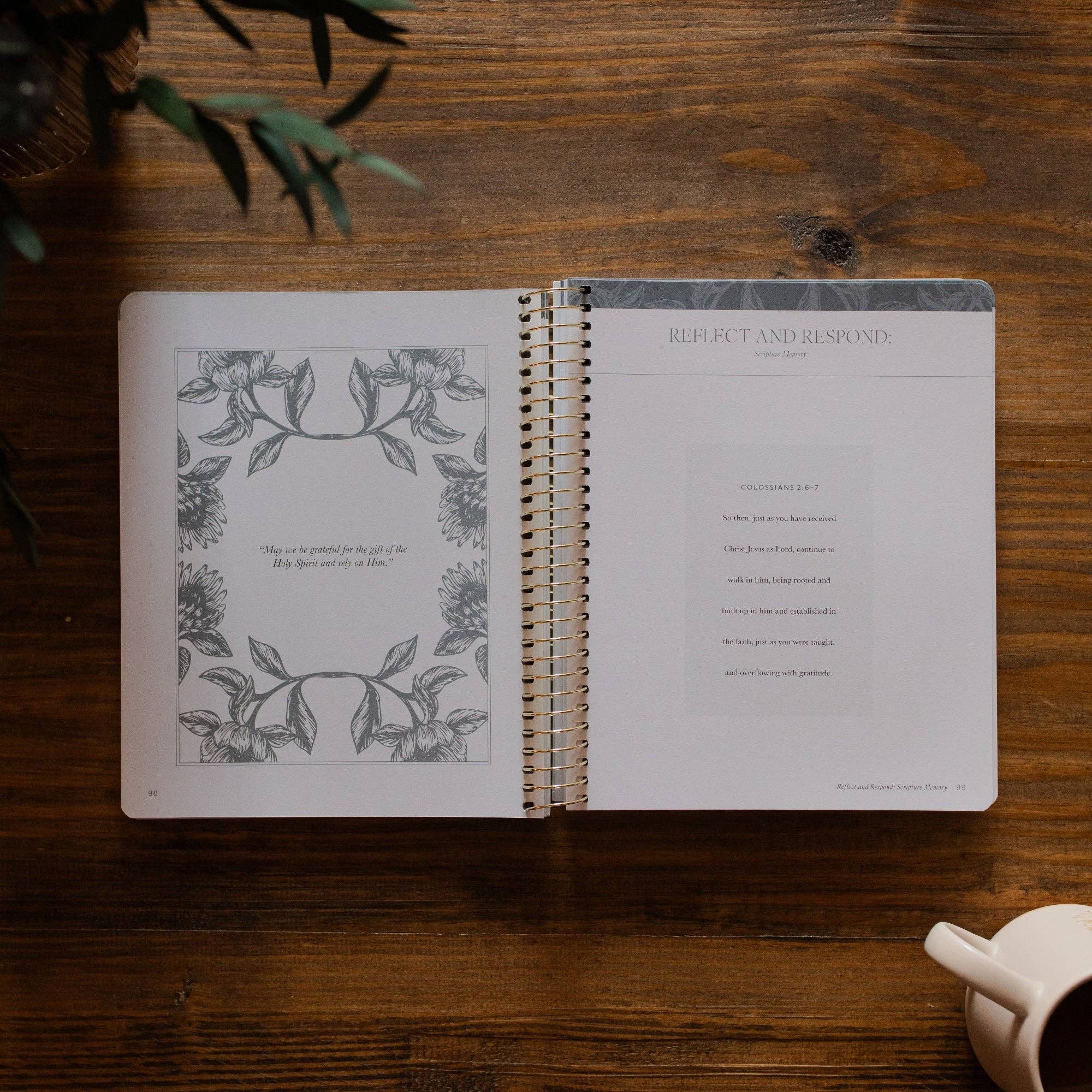 A Year in the Bible | 365 Days of Discovering the Beauty of Jesus from Genesis to Revelation | Volume 4