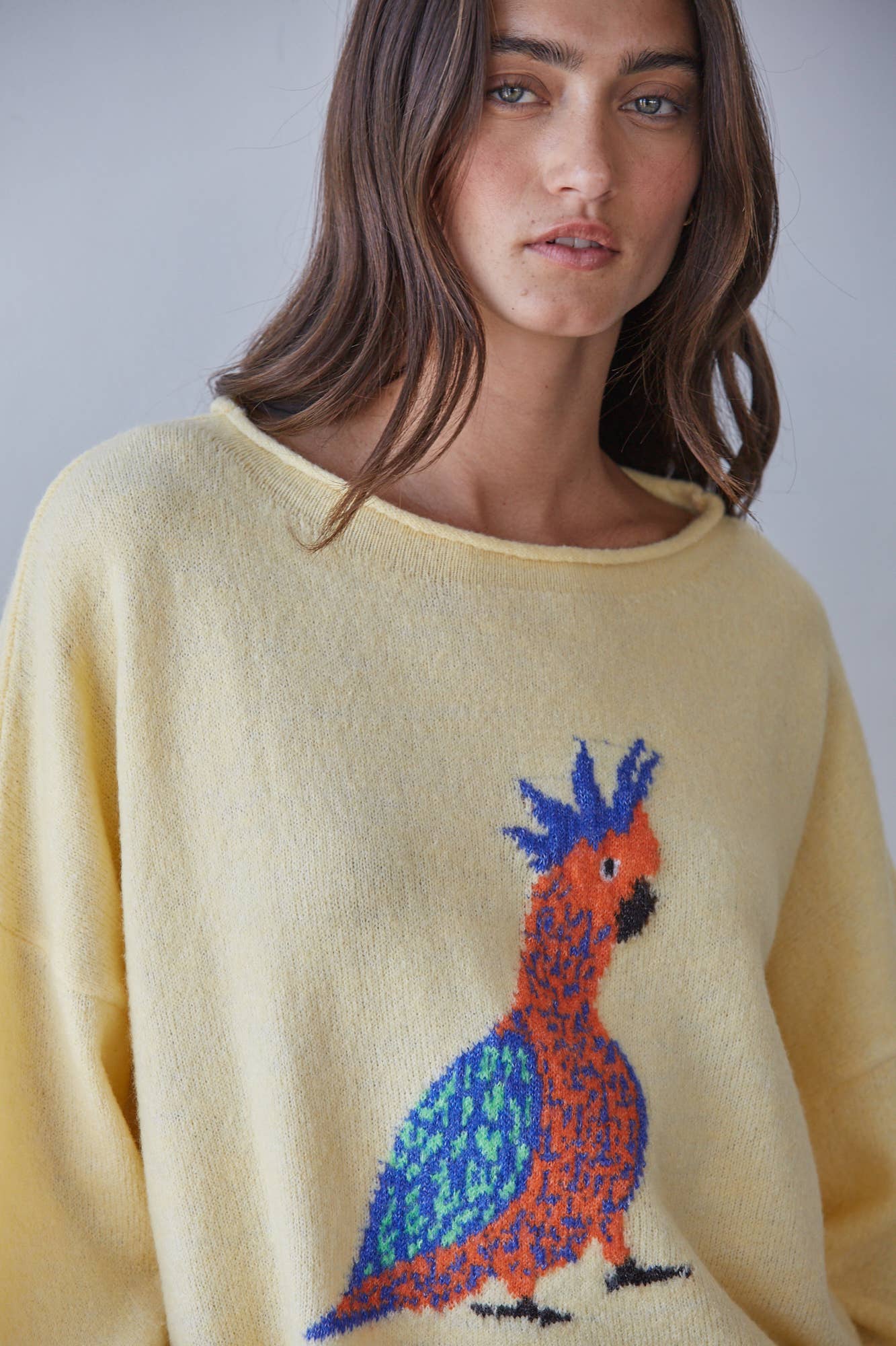 Robin Bird Print Pullover