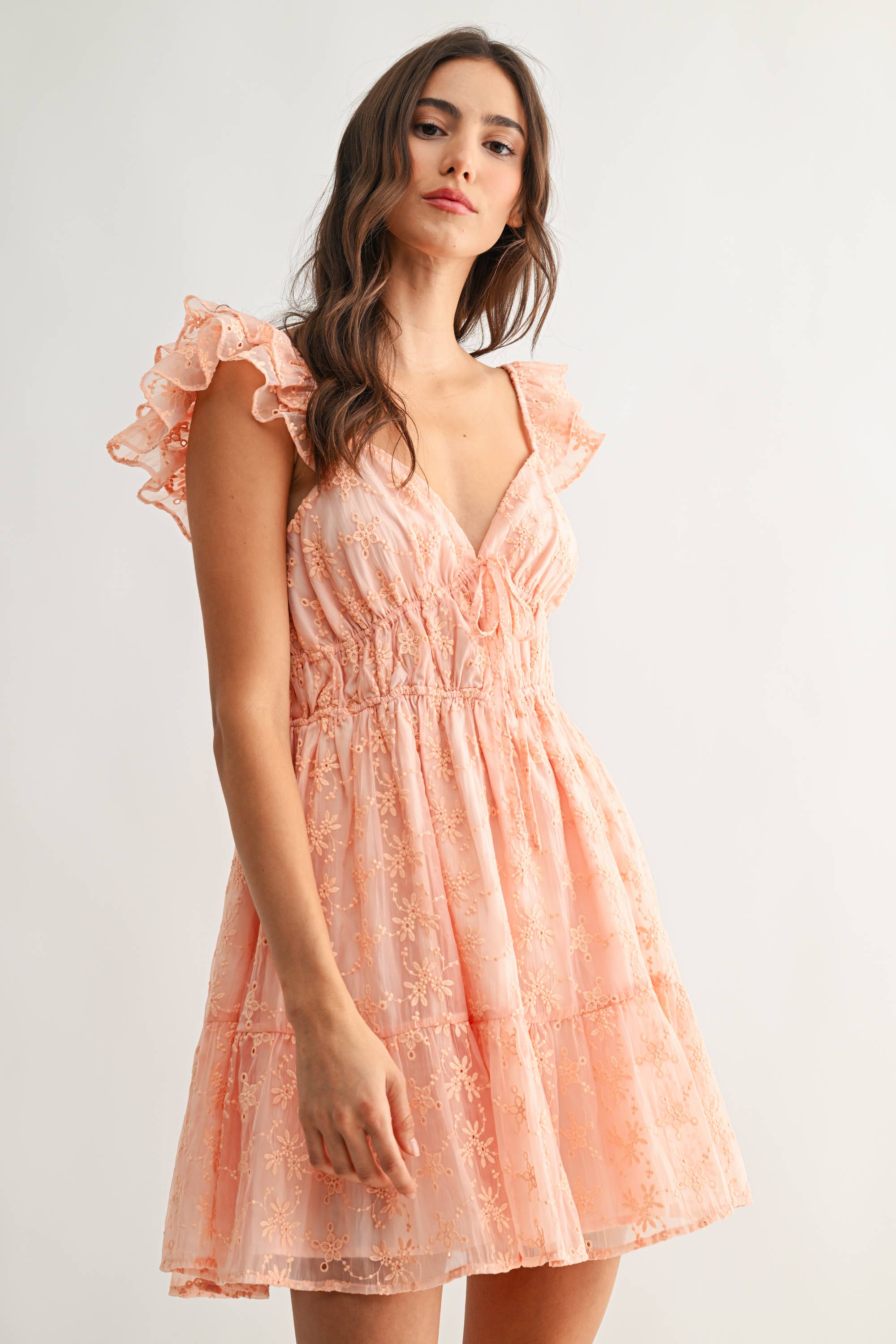 Chiffon Flutter Embroidered Sleeve Mini Dress