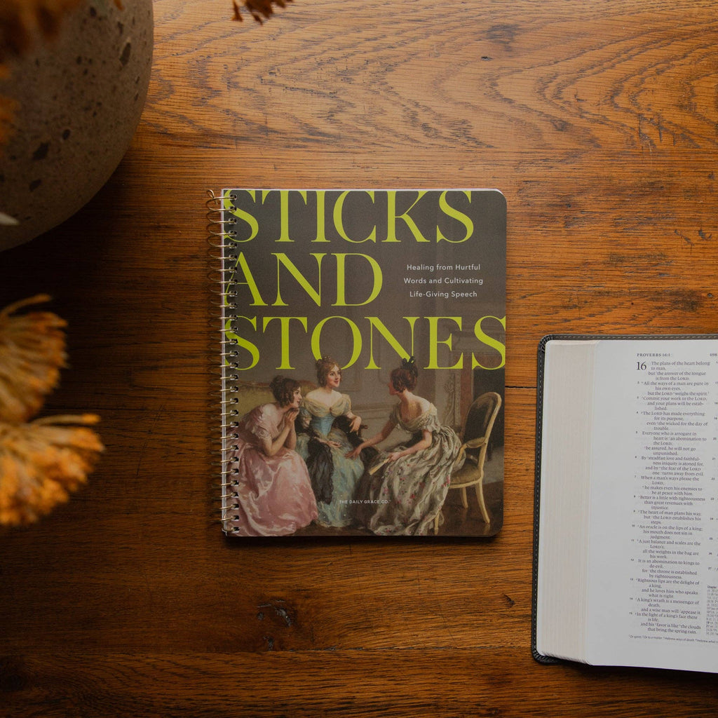 Sticks and Stones Spiral Bible Study