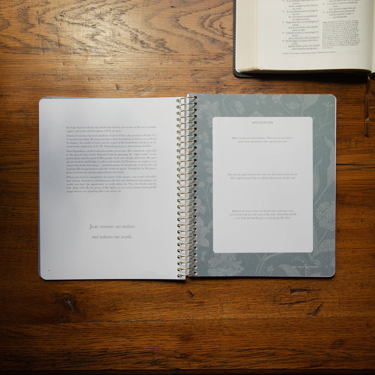 Sticks and Stones Spiral Bible Study