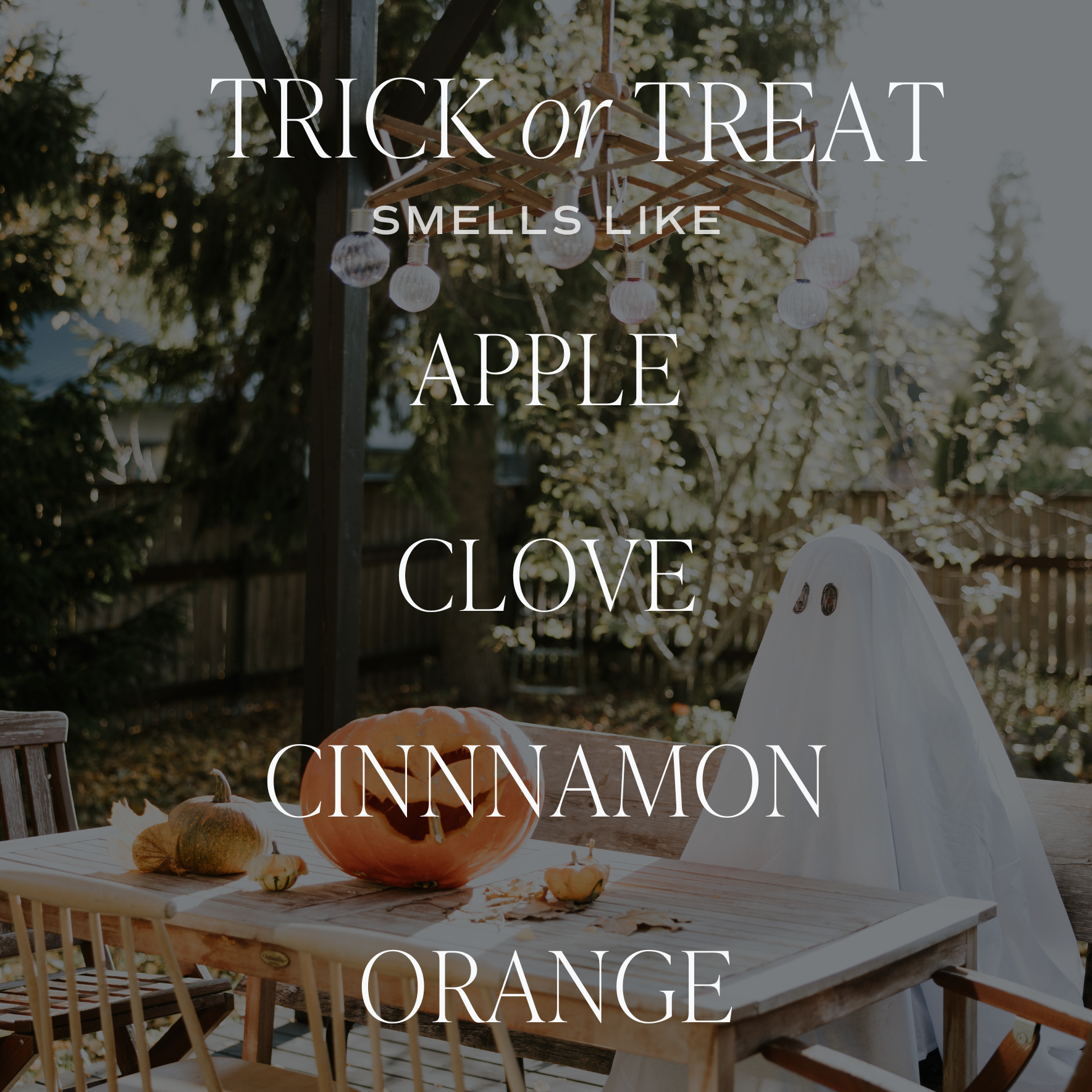 *NEW* Trick or Treat 9 oz Soy Candle - CLEARANCE