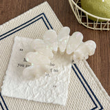 Elegant Geometric Acetate Hair Claw Clips DP25F983