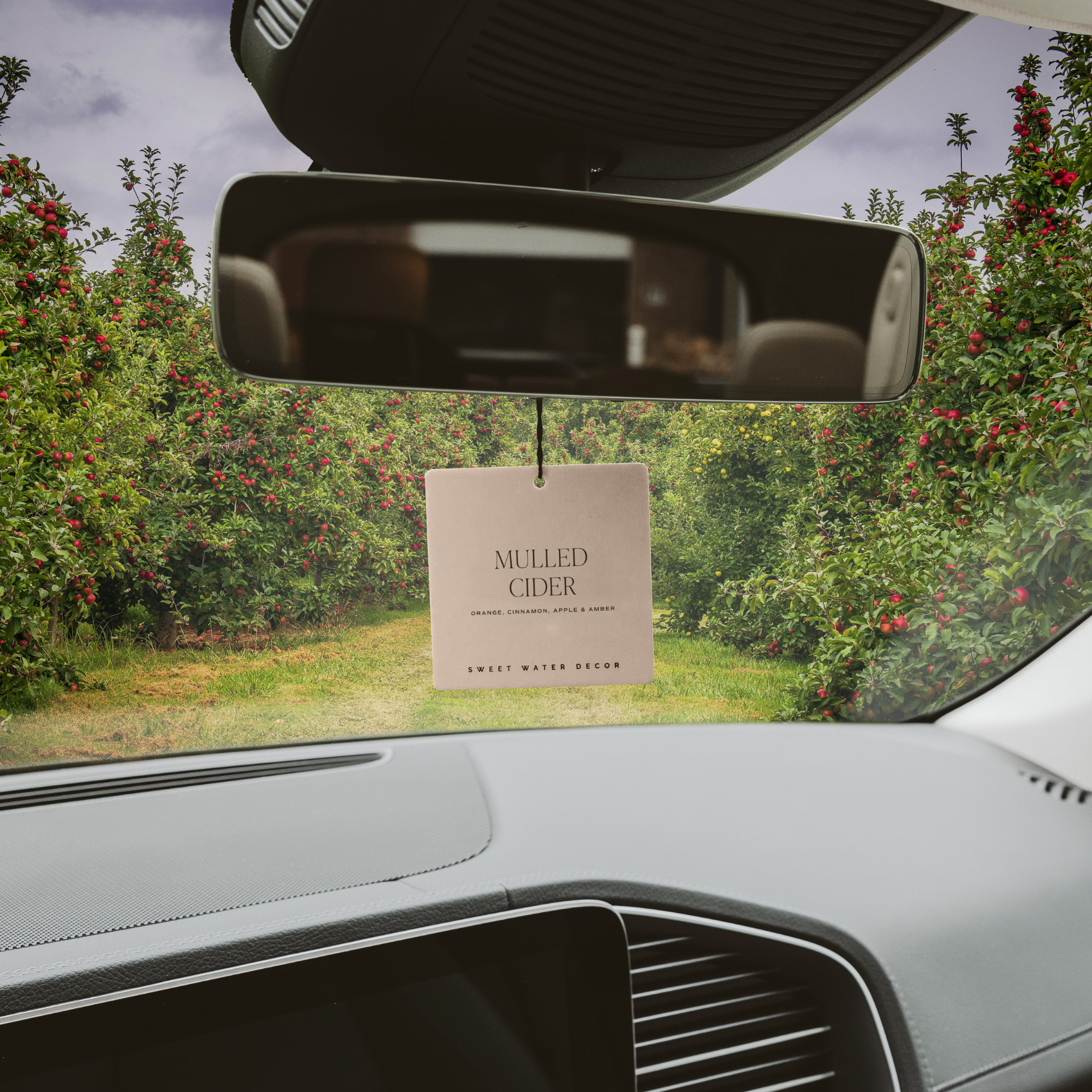 *NEW* Mulled Cider Hanging Air Freshener - Home Decor