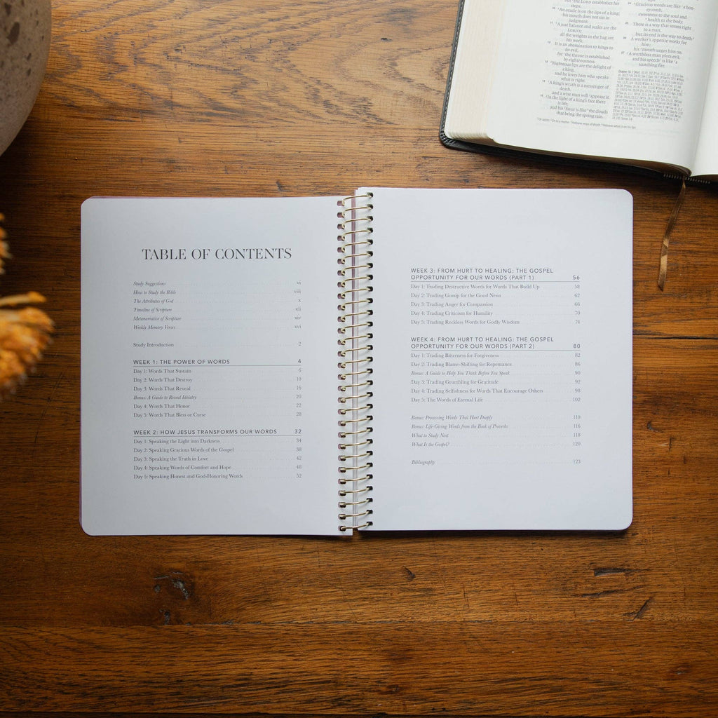 Sticks and Stones Spiral Bible Study