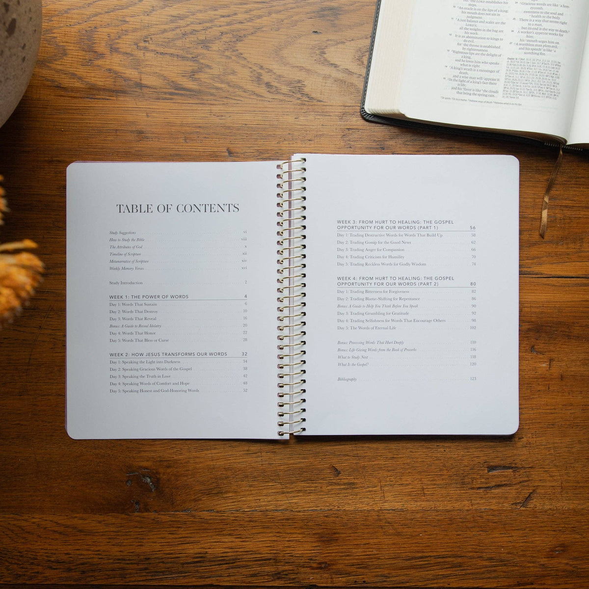 Sticks and Stones Spiral Bible Study