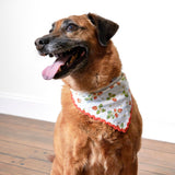 Strawberry Pet Bandana