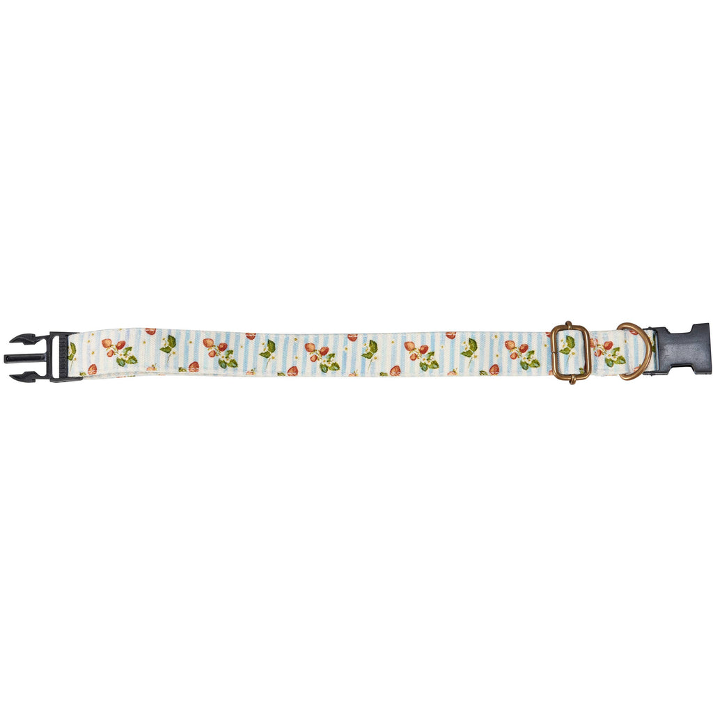 Strawberry Dog Collar
