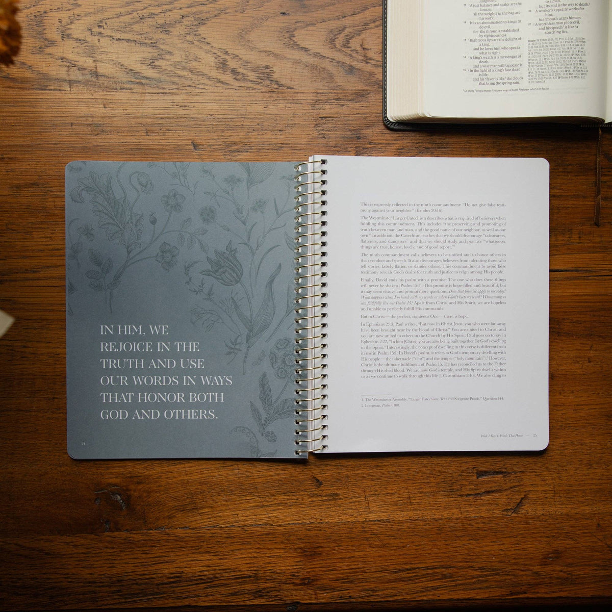 Sticks and Stones Spiral Bible Study
