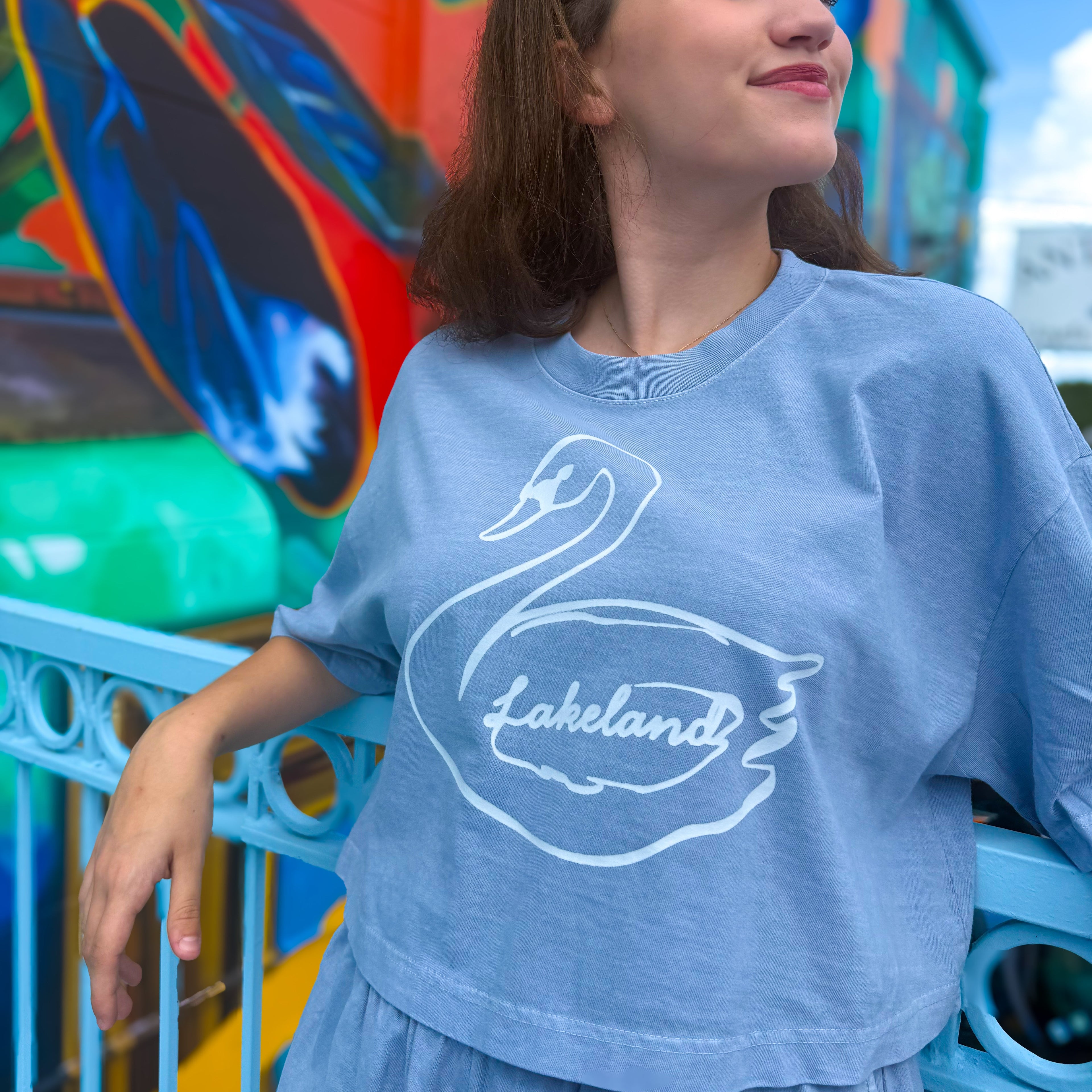Lakeland Swan Set Crop Top