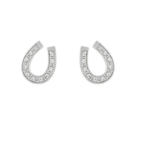 Studded Horseshoe Earrings