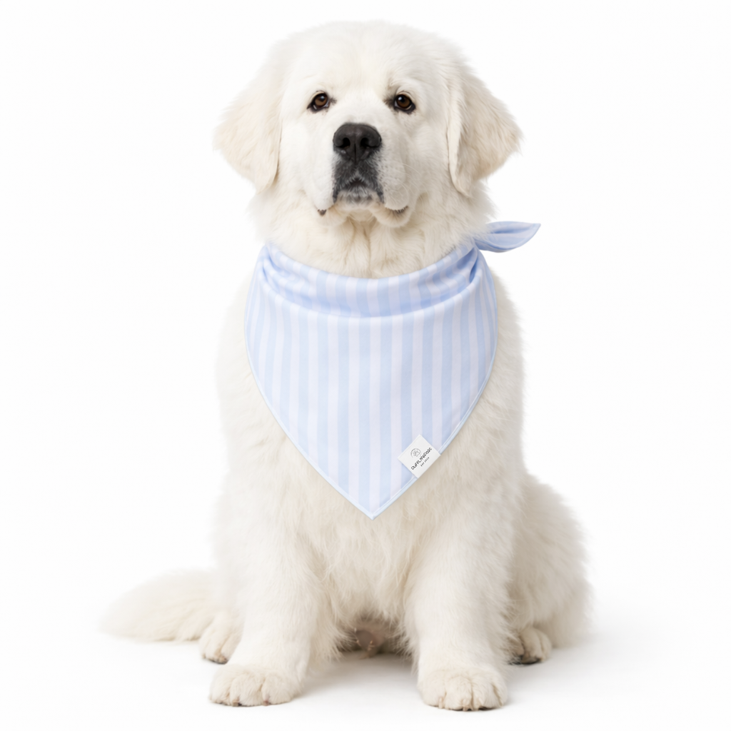 Light Blue Striped Dog Bandana