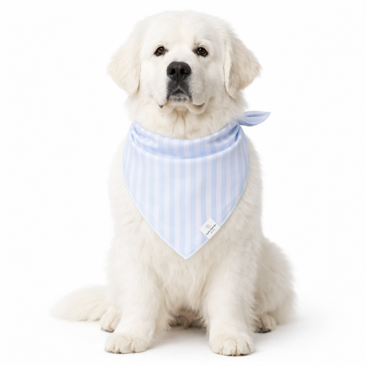 Light Blue Striped Dog Bandana