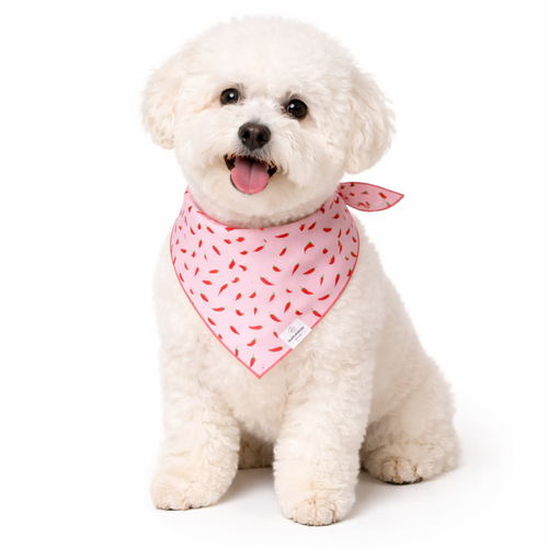 Chili Pepper Dog Bandana