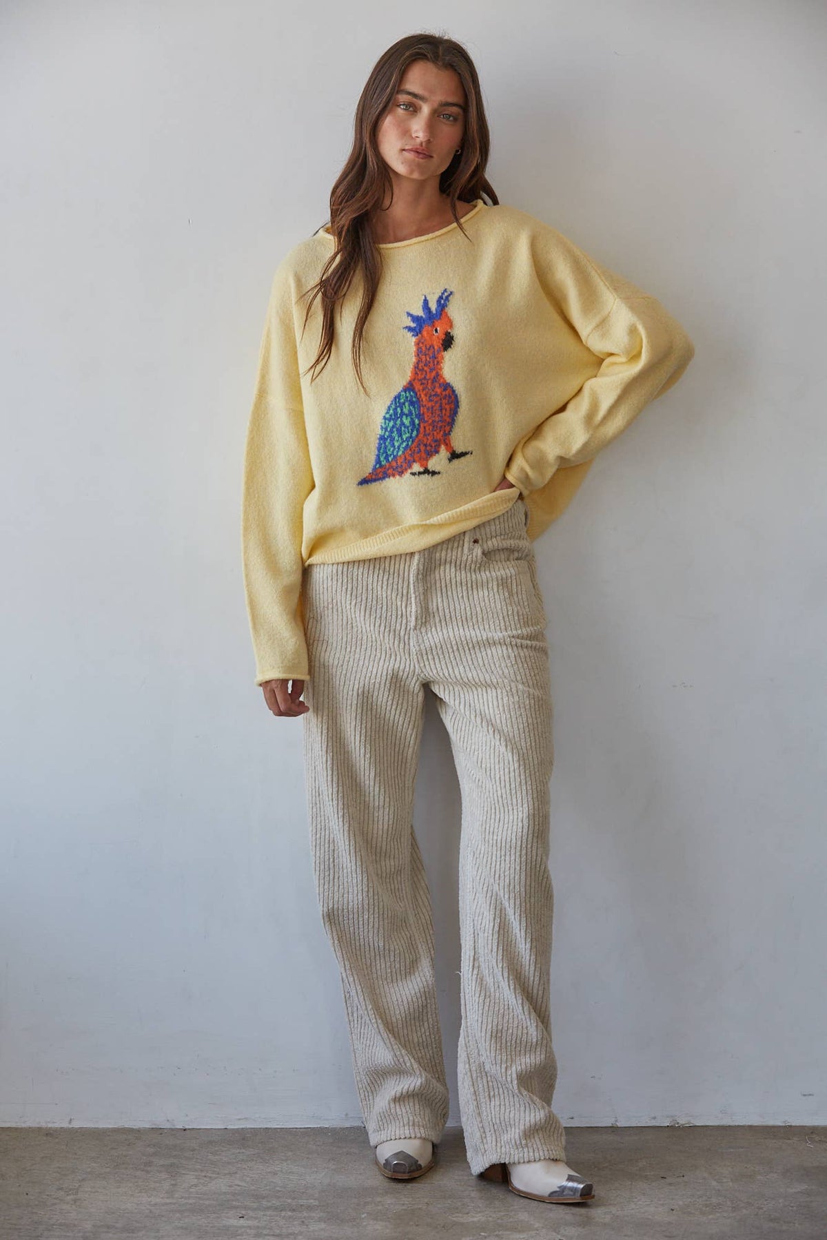 Robin Bird Print Pullover