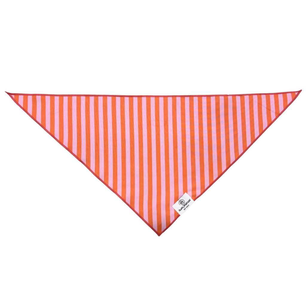 Orange & Pink Stripes Dog Bandana