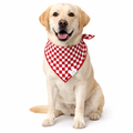 Red Checkered Dog Bandana