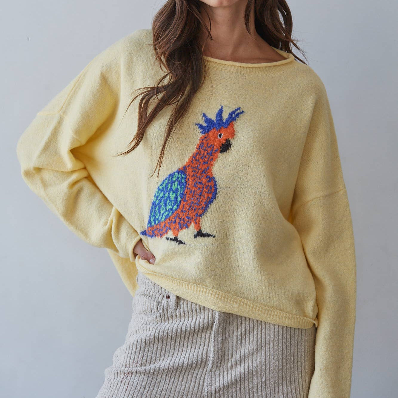 Robin Bird Print Pullover