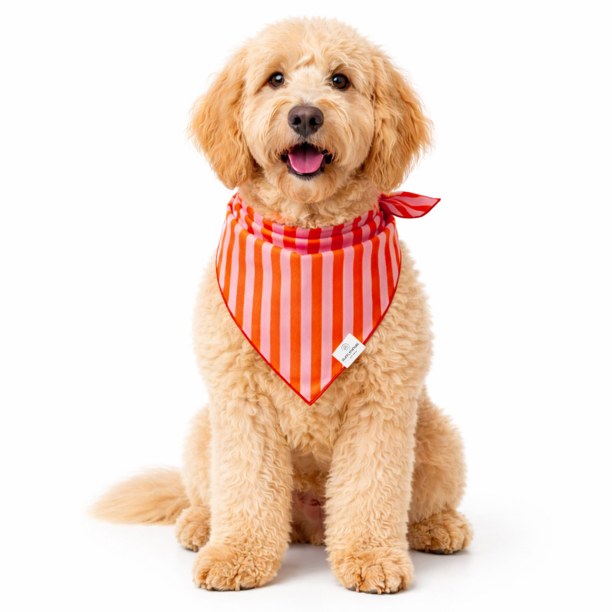 Orange & Pink Stripes Dog Bandana