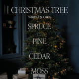 Christmas Tree Clear Reed Diffuser - Home Decor & Gifts