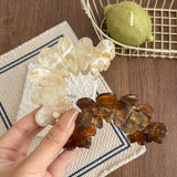 Elegant Geometric Acetate Hair Claw Clips DP25F983