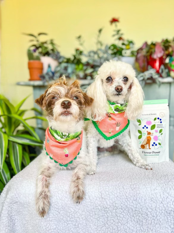 Flower Power Cookies - All Natural, Organic Dog Treats