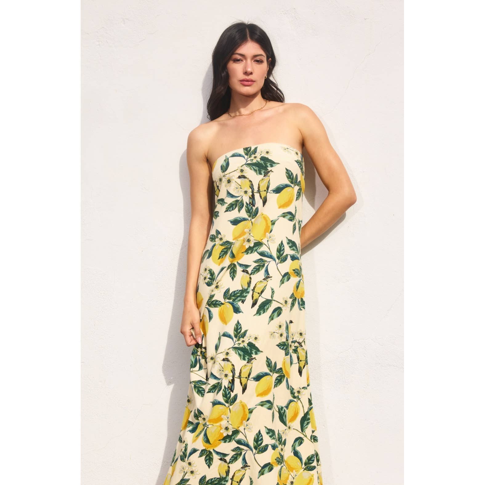 Vintage Lemonade Strapless Tie Back Maxi Dress