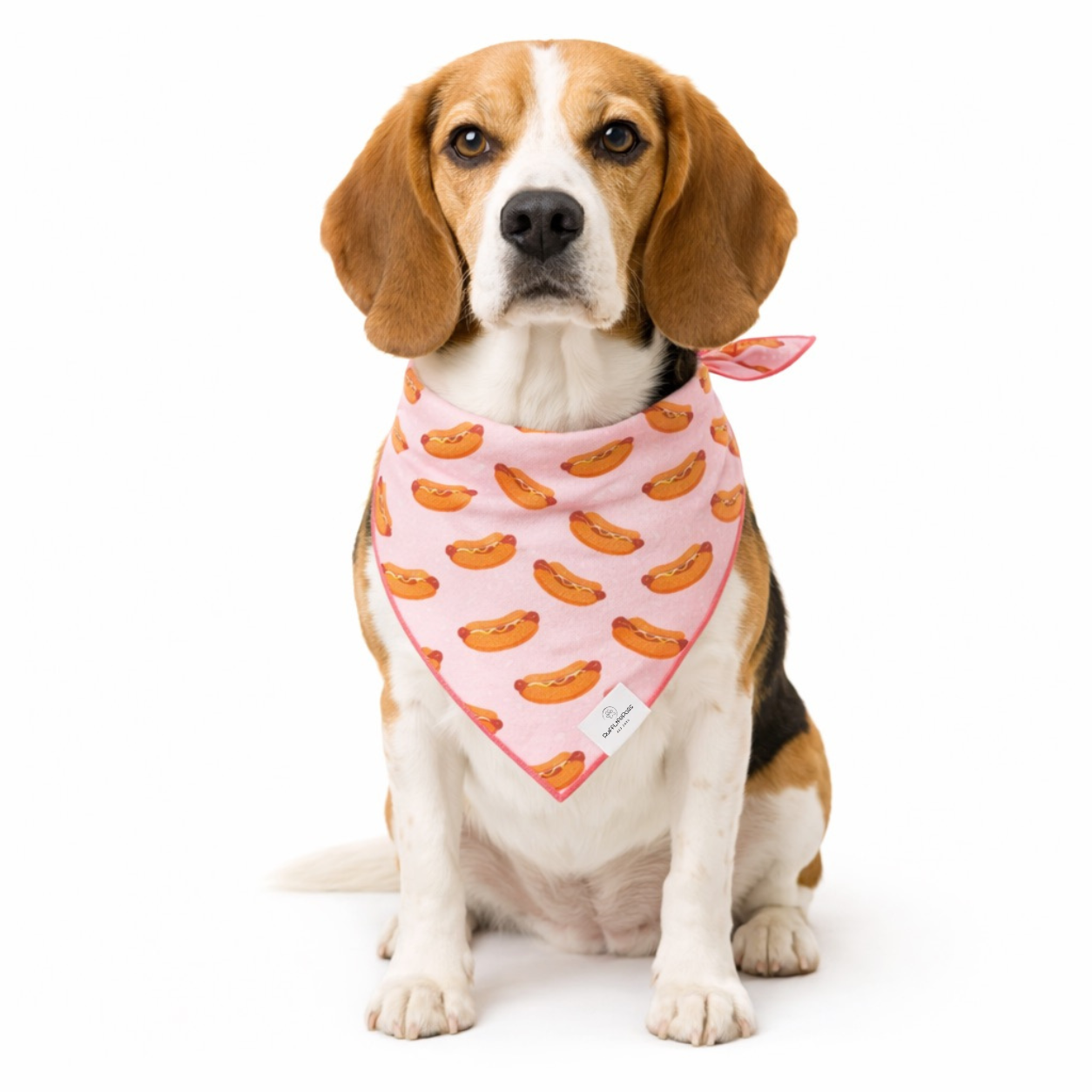 Hot Dog, Dog Bandana
