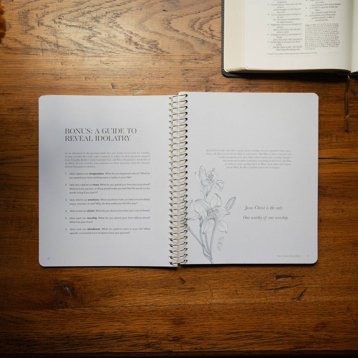 Sticks and Stones Spiral Bible Study